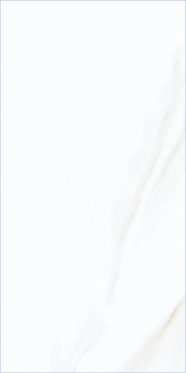 Time Cielo Matte 12 x 24